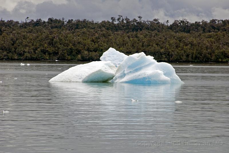 20071217 131056 D2X (164) 4200x2800.jpg - Icebergs. Laguna San Rafael